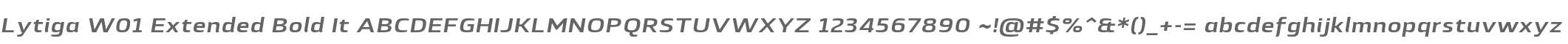 Lytiga W01 Extended Bold It