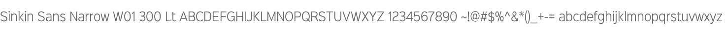 Sinkin Sans Narrow W01 300 Lt