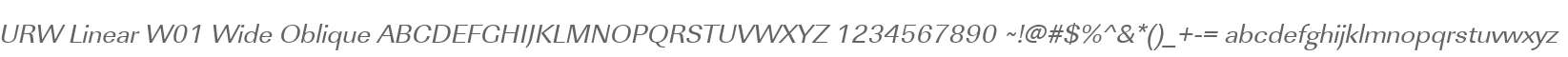 URW Linear W01 Wide Oblique