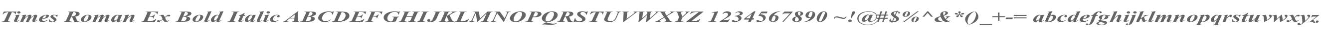 Times Roman Ex Bold Italic