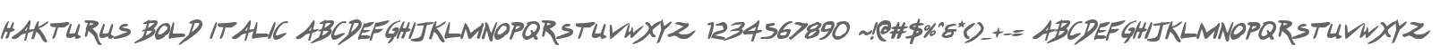Hakturus Bold Italic