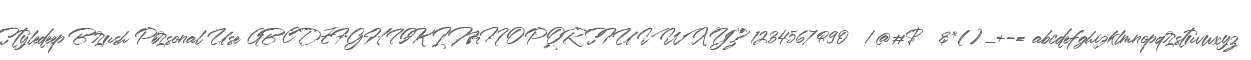 Styledeep Brush Personal Use