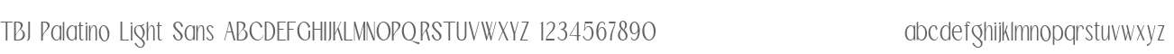 TBJ Palatino Light