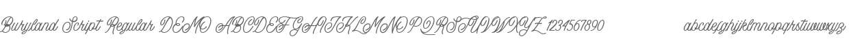 Buryland Script Regular DEMO