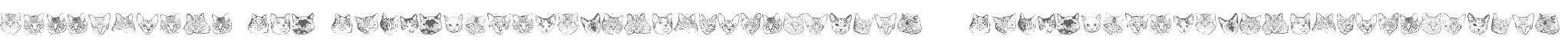 KittyPrint AOE