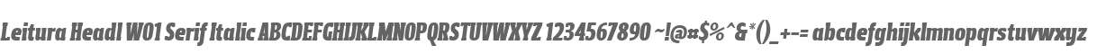 Leitura Headl W01 Serif Italic