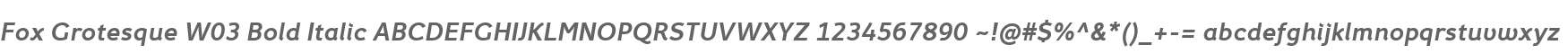 Fox Grotesque W03 Bold Italic