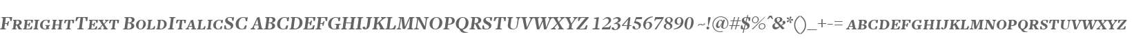 FreightText BoldItalicSC V2
