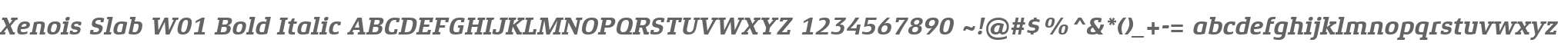 Xenois Slab W01 Bold Italic