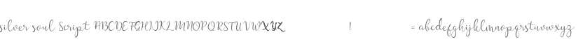 silver soul Script