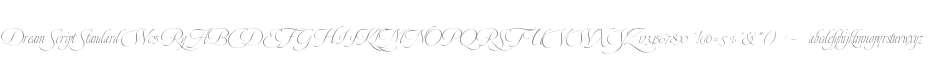Dream Script Standard W05 Rg