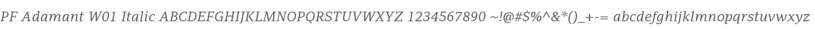 PF Adamant W01 Italic