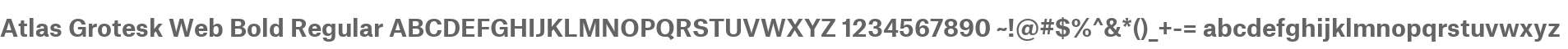 Atlas Grotesk Web Bold Regular