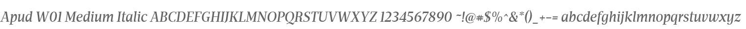 Apud W01 Medium Italic