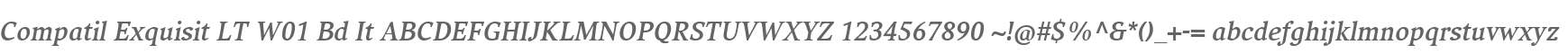 Compatil Exquisit LT W01 Bd It