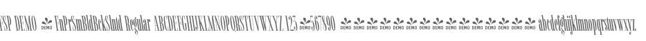 FSP DEMO - FnPrSmBldBckSlntd