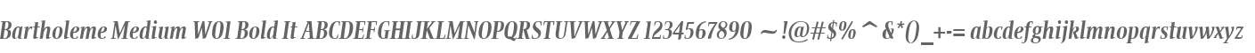 Bartholeme Medium W01 Bold It