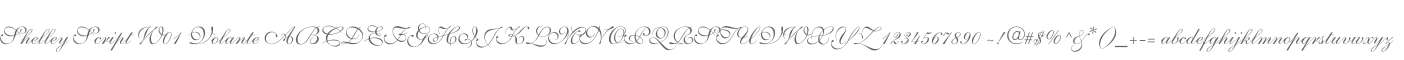 Shelley Script W01 Volante