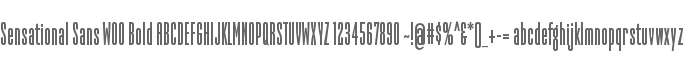 Sensational Sans W00 Bold