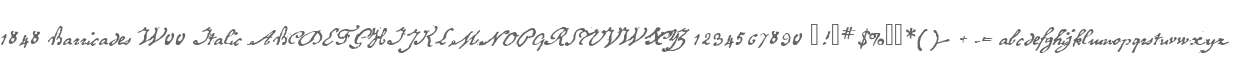 1848 Barricades W00 Italic