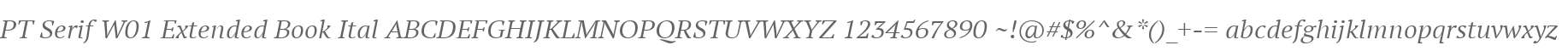 PT Serif W01 Extended Book Ital