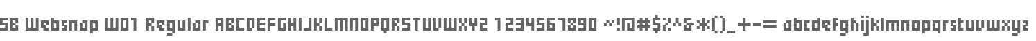 SB Websnap W01 Regular
