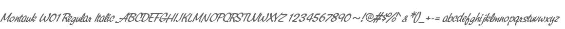 Montauk W01 Regular Italic