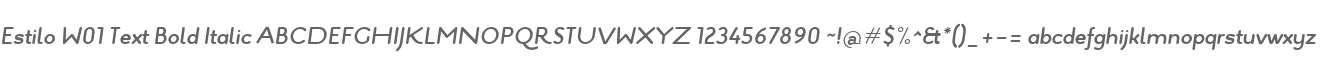 Estilo W01 Text Bold Italic