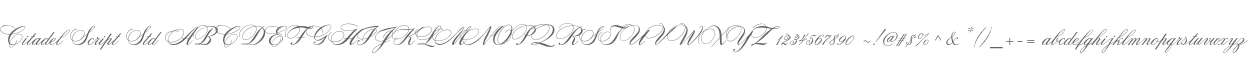 Citadel Script Std