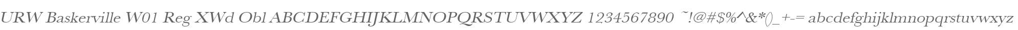 URW Baskerville W01 Reg XWd Obl