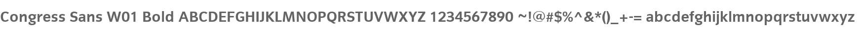 Congress Sans W01 Bold