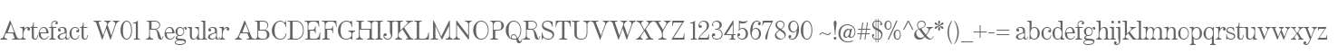 Artefact W01 Regular