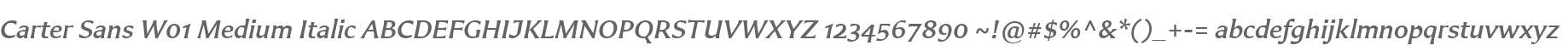 Carter Sans W01 Medium Italic