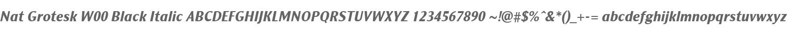 Nat Grotesk W00 Black Italic