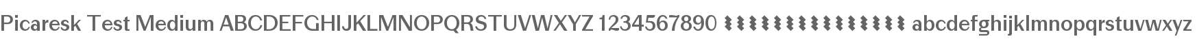 Picaresk Test Medium