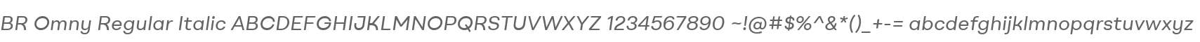 BR Omny Regular Italic