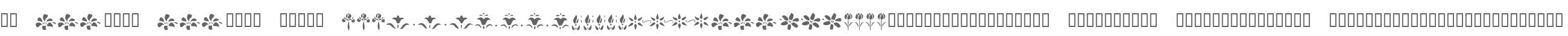 KR Fleur Flair Lines