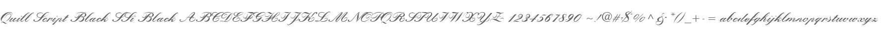Quill Script Black SSi Black