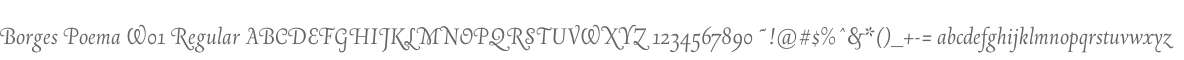 Borges Poema W01 Regular