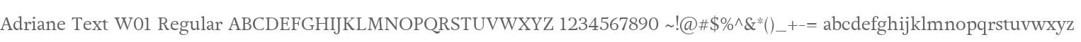 Adriane Text W01 Regular