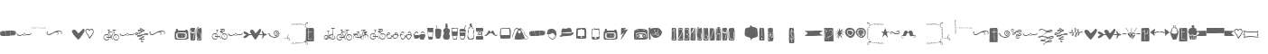Ride my Bike W95 Dingbat