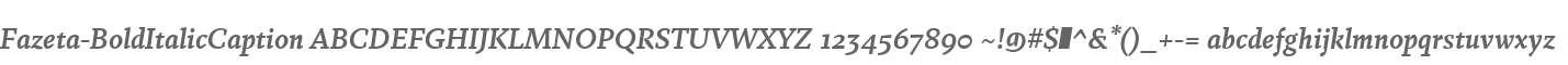 Fazeta-BoldItalicCaption