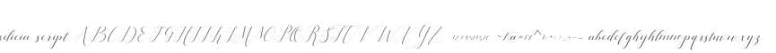 silicia script