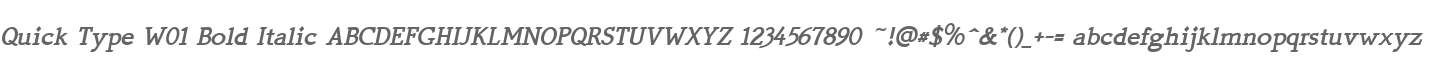 Quick Type W01 Bold Italic