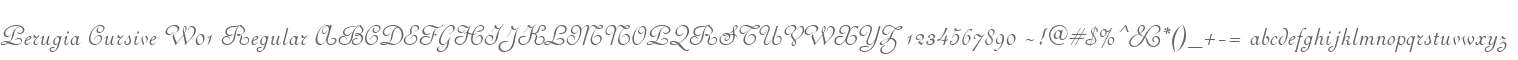 Perugia Cursive W01 Regular