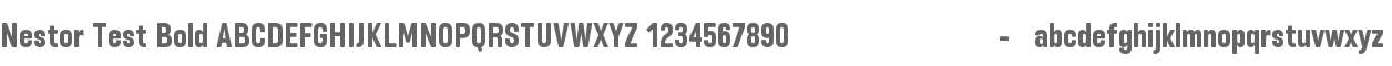 Nestor Test Bold