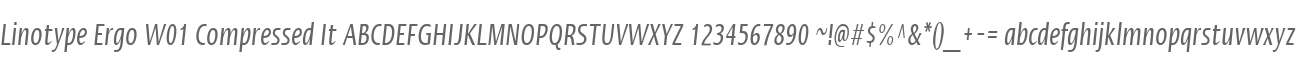 Linotype Ergo W01 Compressed It