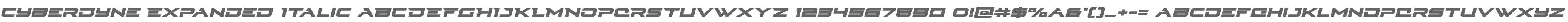 Cyberdyne Expanded Italic