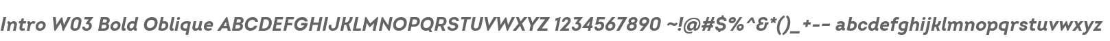 Intro W03 Bold Oblique