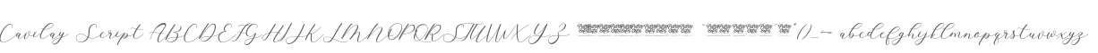 Cavilay Script